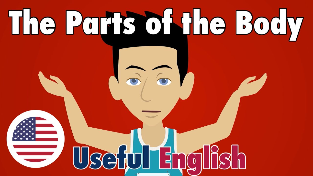 Learn Useful English: The Parts of the Body - YouTube