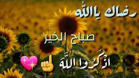 حالات وتس اب تلاوة في غاية الجمال الشيخ ماهر المعيقلي