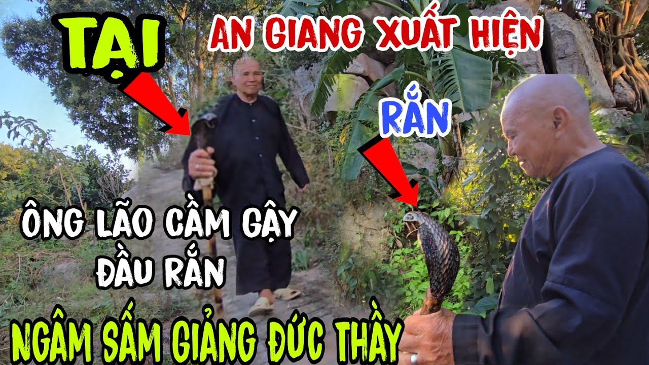Tại An Giang 💥 xuất hiện Ông Lão 👉 Cầm gậy đầu Rắn Hổ ( Xuống Núi Ngâm Giảng Đức Thầy | Châu Phú