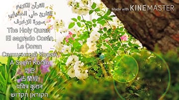 القارئ علي الحذيفي سورة الزخرف HD