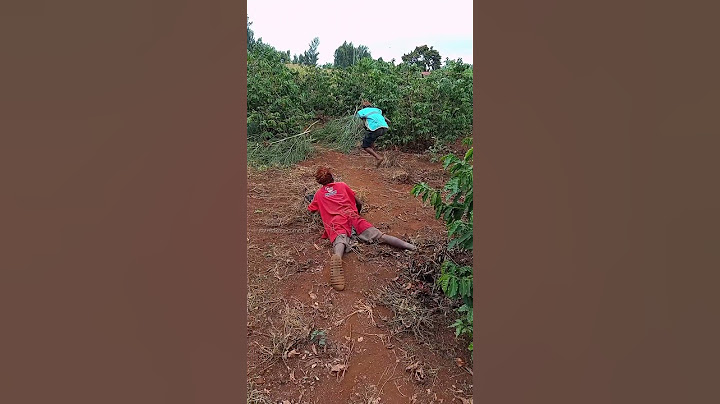 Pigwa risasi ya mguu🤣🤣🤣 #subscribe #whowillbemylifepartnerta