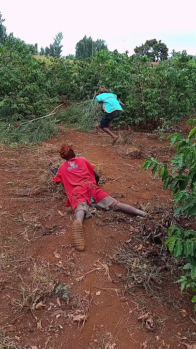 Pigwa risasi ya mguu🤣🤣🤣 #subscribe #whowillbemylifepartnerta