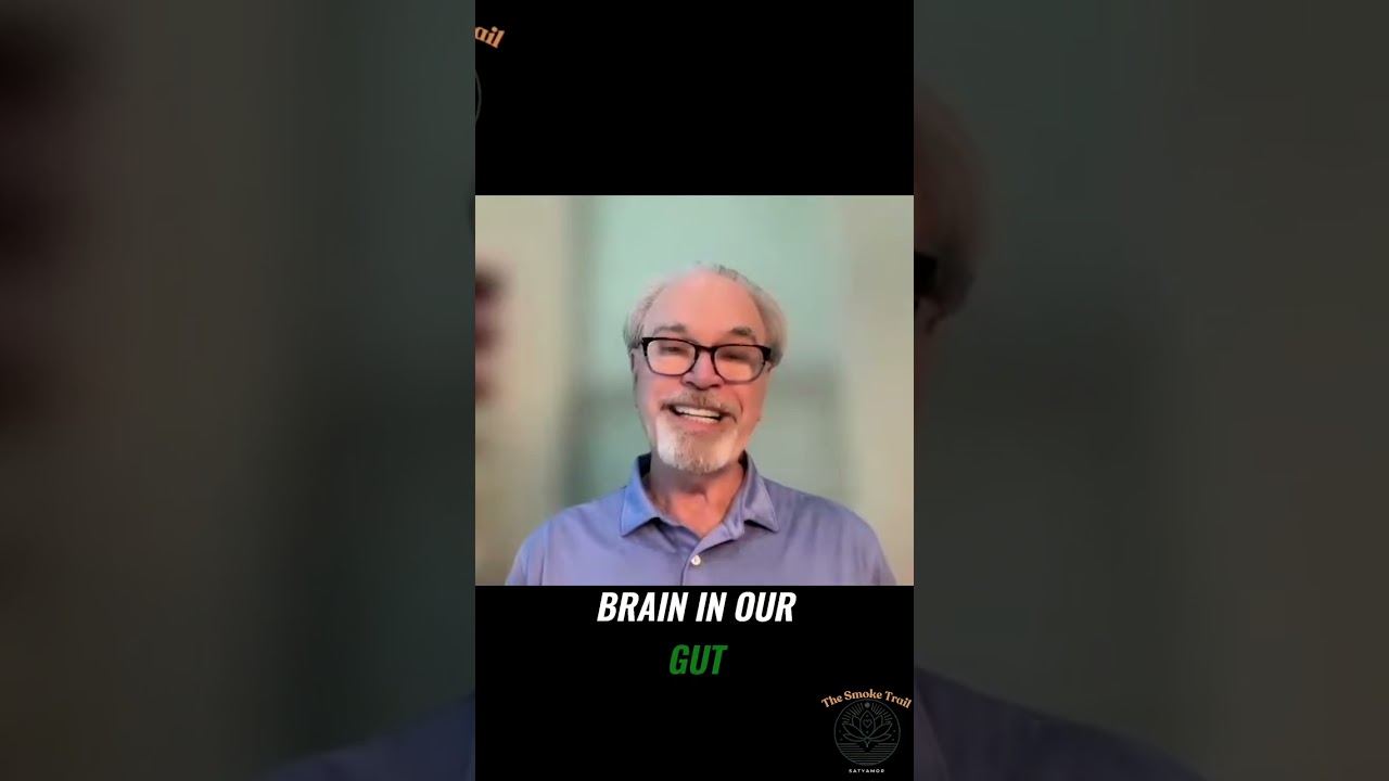 Unlock Your Inner Wisdom: Heart, Gut, and Mind Connection! 