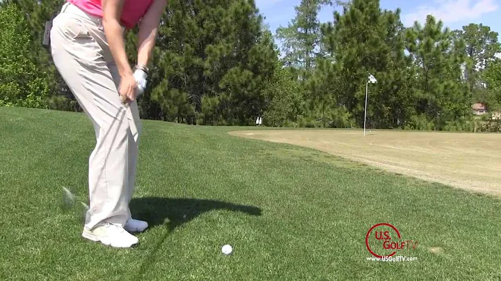 Chipping Tips with Cheryl Anderson