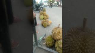 duren montong mantap