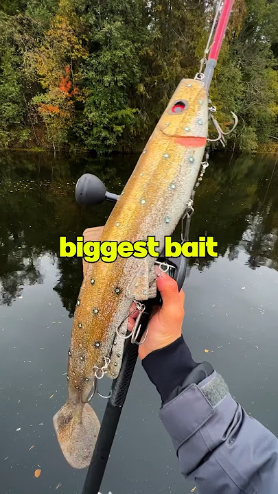 We Caught a Fish on the World’s Biggest Lure 🤯