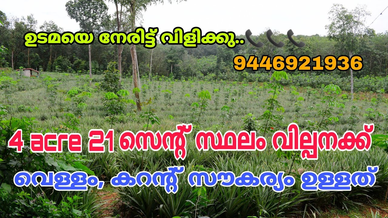 Land For Sale in kottayam Bharananganam Agricultural Land Sale