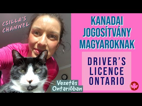 Videó: Mennyibe kerül egy kanadai jogosítvány?