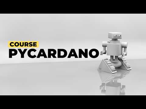 [Chapter 1] Pycardano: Project initialization and running the first test