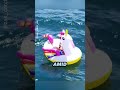 Shark Drags Man Miles From Shore On Inflatable Unicorn Zak Catch Em Shark Drags Man Miles From Shore On Inflatable Unicorn Zak Catch Em