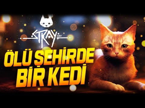 ÖLÜ ŞEHİRDE BİR KEDİ | STRAY 1.BÖLÜM TÜRKÇE