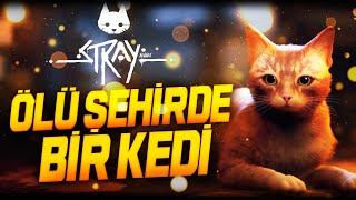 Ölü Şehi̇rde Bi̇r Kedi̇ Stray 1Bölüm Türkçe