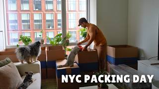 packing and decluttering our nyc apartment w/ our two dogs & a cat