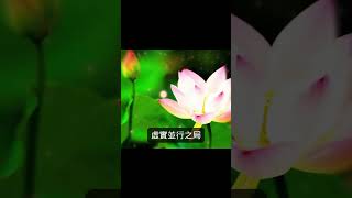 1955年屬羊人2025年7月整體生肖運勢#屬羊#生肖羊 #1955 羊