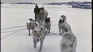 An Inuit/Eskimo family in the Arctic 1959