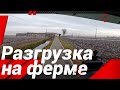 РАЗГРУЗКА НА ФЕРМЕ!#автошкола_дальнобоя