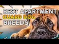 Top 10 Guard Dog Breeds For Apartments!