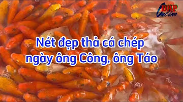 Nét đẹp thả cá chép ngày ông Công, ông Táo