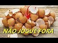 ⚠️NUNCA VOCÊ JOGARÁ CASCA DE OVOS  DEPOIS DE VER ESTE VIDEO #ovo #cascadeovo #adubo #façaemcasa