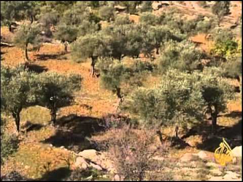 اسرائيل تواصل  مصادرة الآراضي الفلسطينية