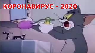 Коронавирус 2020