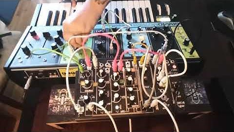 Sishiva On Grandmother Moog & 0coast Psytrance Arpeggio