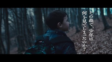 ルーマニア・トランシルヴァニア地方の小さな村の諍いが分断された世界の今をあぶり出す戦慄の社会派サスペンス『ヨーロッパ新世紀』予告編