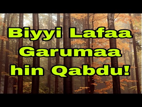Biyyi Lafaa Garumma Hin Qabdu