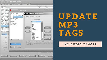 How to update mp3 tags with MC Audio Tagger | tutorial by TechyV