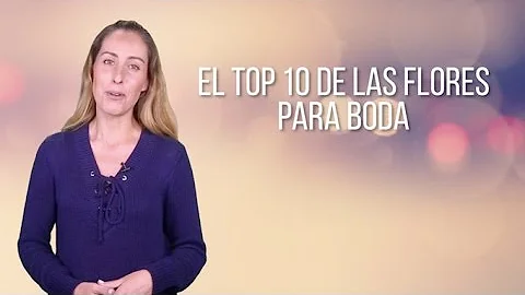 Qual a maior Bodas de casamento?
