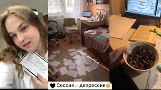 летняя сессия в СПБГУВМ/работа в ветеринарной клинике🕊