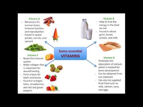 Nutrition 2 - Water, Vitamins, Minerals and Fiber