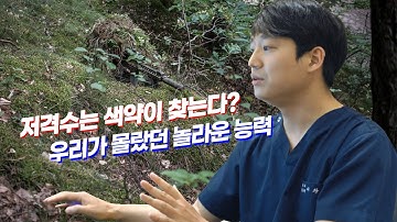 저격수킬러는 사실 색약병사? 다른색을 보는 자들의 특별한 능력