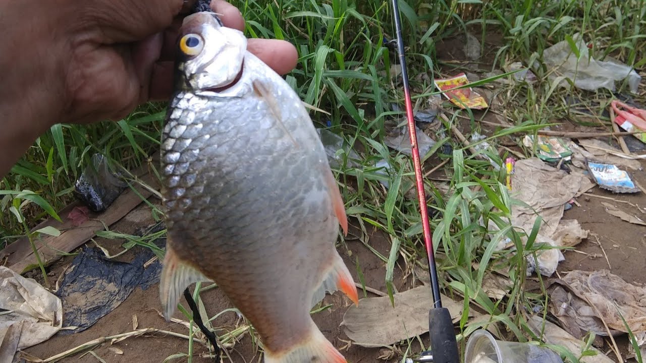 Mancing Rancak Dikali Cisadane