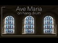 Ave Maria on Hang Drum • Johann Sebastian Bach • Charles Gounod • Extended version