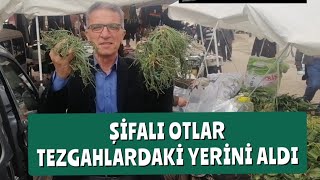 Şifalı Otlar Tezgahlardaki Yerini Aldı. Resimi