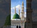 Mahboob yagana#youtubeshorts #shortsvideo#shorts#shortvideo#viral#viralshorts#ytshorts#yt#islamic