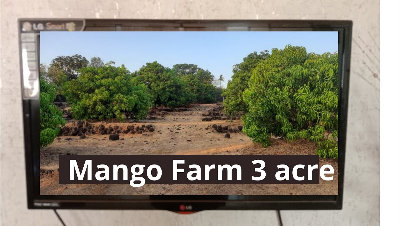 ID 121/13, Mango farm for sale in Pawas konkan 3 acres, 9371129848