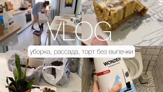 VLOG выходные😌 быстрая уборка🧽 рецепт торта без выпечки🧁 сеем рассаду🌱