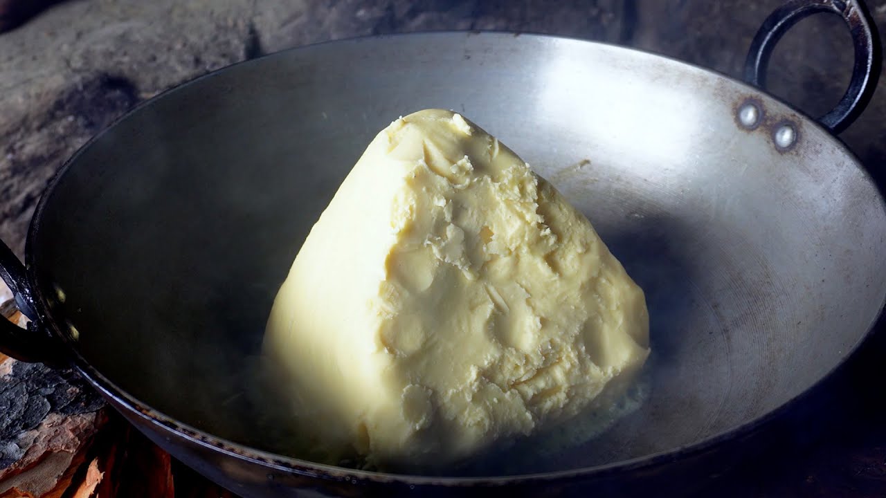carrying butter ghee of Himalayan yak cows YouTube