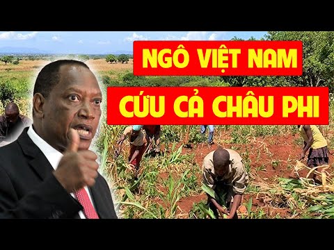 Video: Những Điểm đến Tốt nhất cho Safari Châu Phi Thân thiện với Gia đình