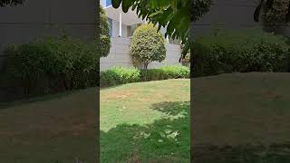 #nature#song#viral#love#music#trending#cool#calm#entertainment#youtubeshorts#visuals#relaxing