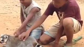 Download lagu MadLipz Dayak Ngaju Gayau ih Wal MadLipz Dayak Ngaju Gayau ih Wal