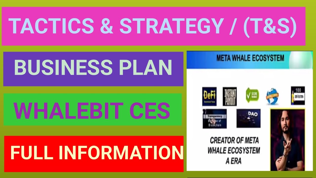 META WHALE TACTICS AND STRATEGY T&S BUSINESS PLAN IN HINDI