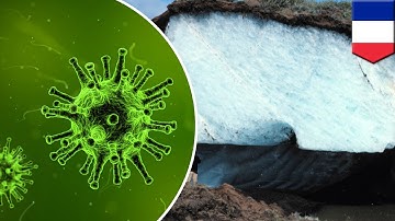 Permafrost melting: Ancient viruses could be released from permafrost - TomoNews