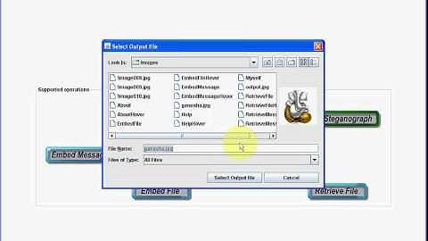 Minimizing Additive Distortion in Steganography Using Syndrome - PASS IEEE2011 Projects - Java