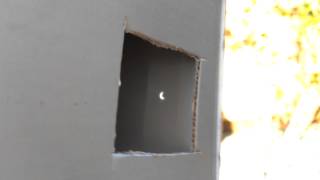 Solar Eclipse viewed through my homemade shoebox.
