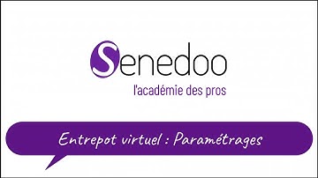 Savoir utiliser les entrepôts virtuels dans Odoo. Paramétrages Partie 1 (tuto n°6)