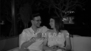 Video thumbnail of "TUM MERE 2 (SLOWED+REVERB)@triggeredinsaan"