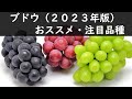 ブドウ　おススメ・注目品種！（2023年版）